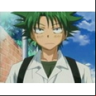 Ueki no Housoku
