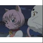 Kamichu! Special